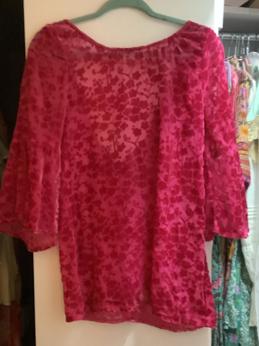 Free People  gypsy junkies Fuchsia Floral Burnout Velvet Blouse